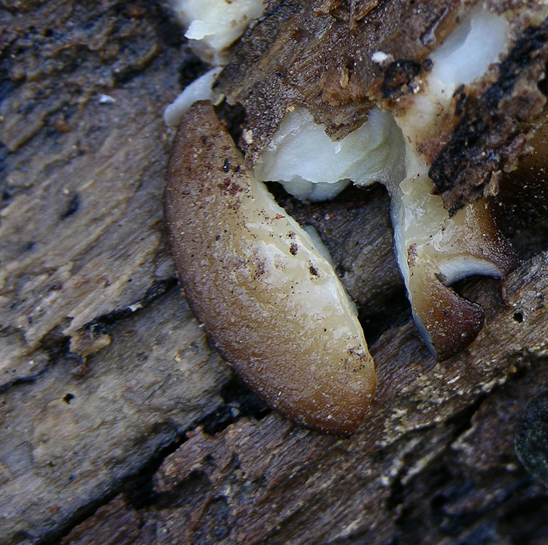 Ritrovamenti marted� 3 aprile.